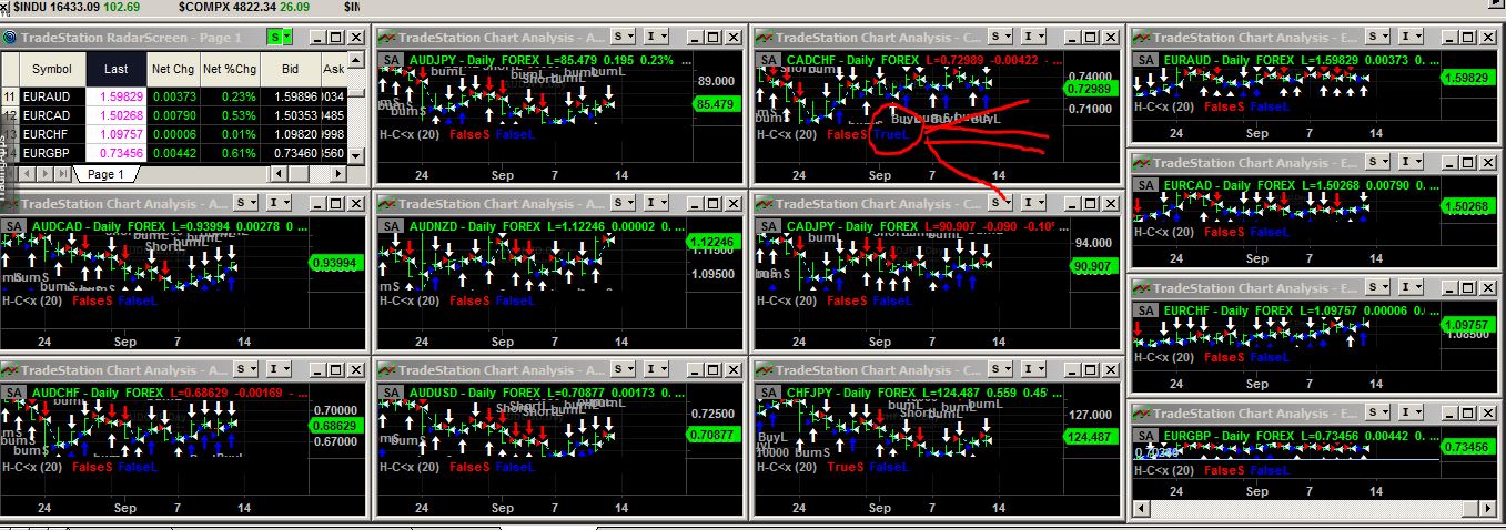 20 pips close-to.JPG