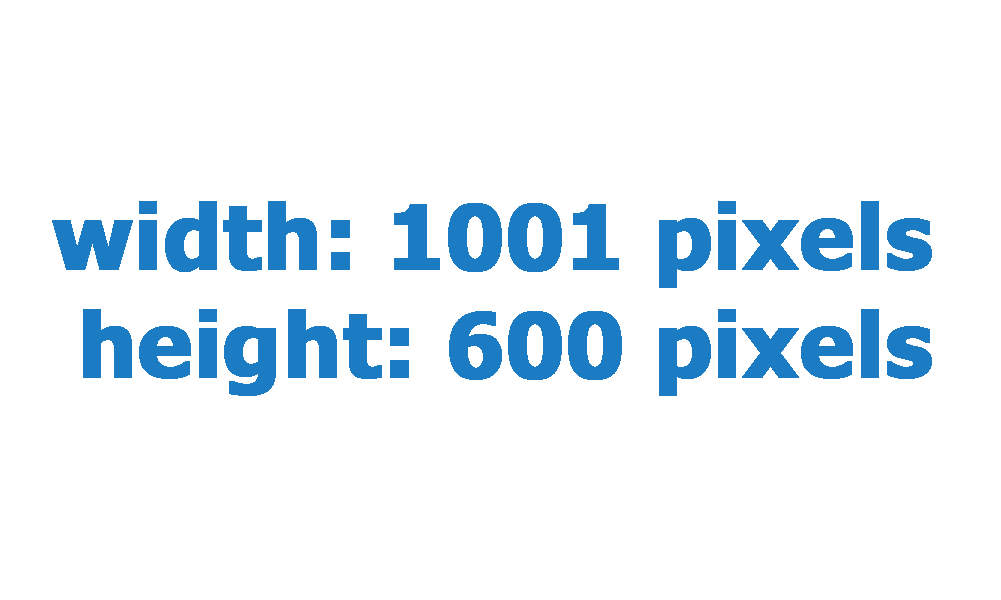 1001pixels_width.png