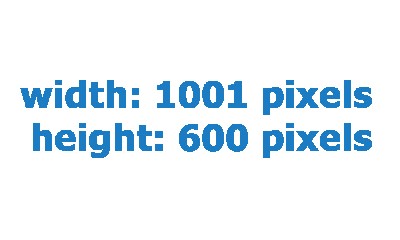 1001pixels_width.jpg