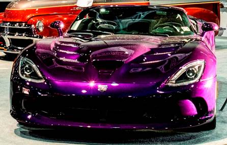 Viper-Picture1.jpg