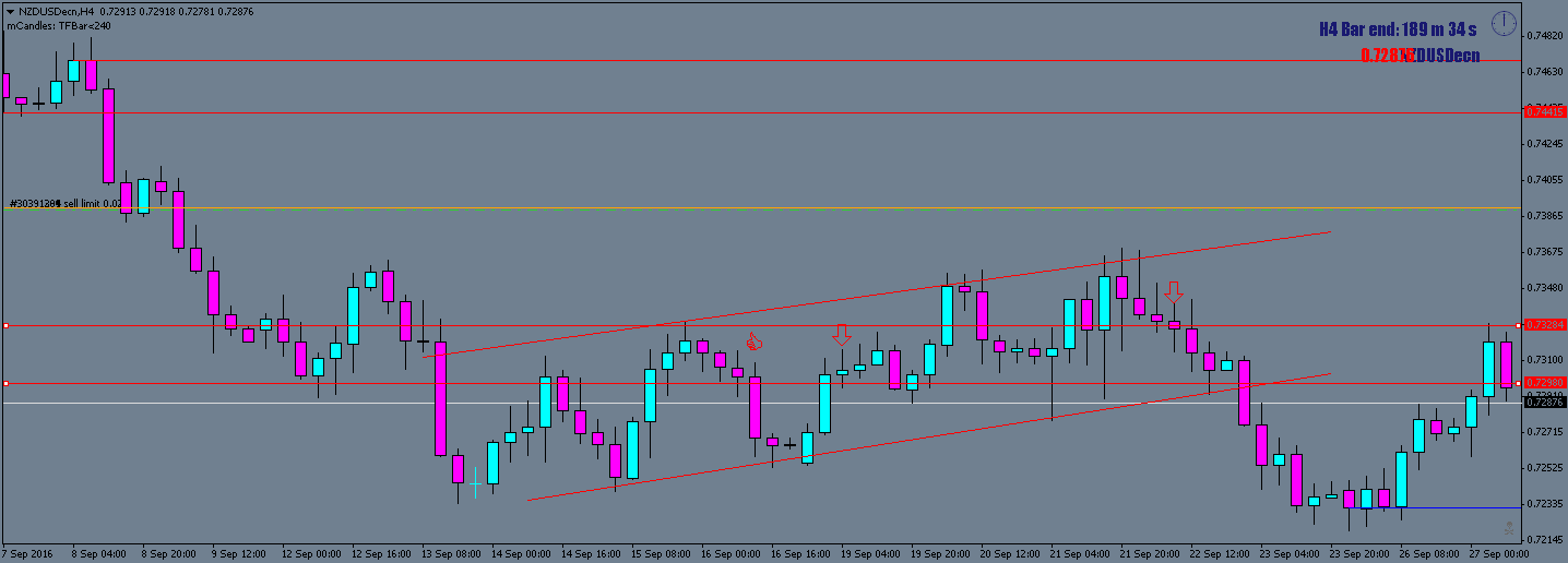 nzdusdecn-h4-tallinex-limited (1).png