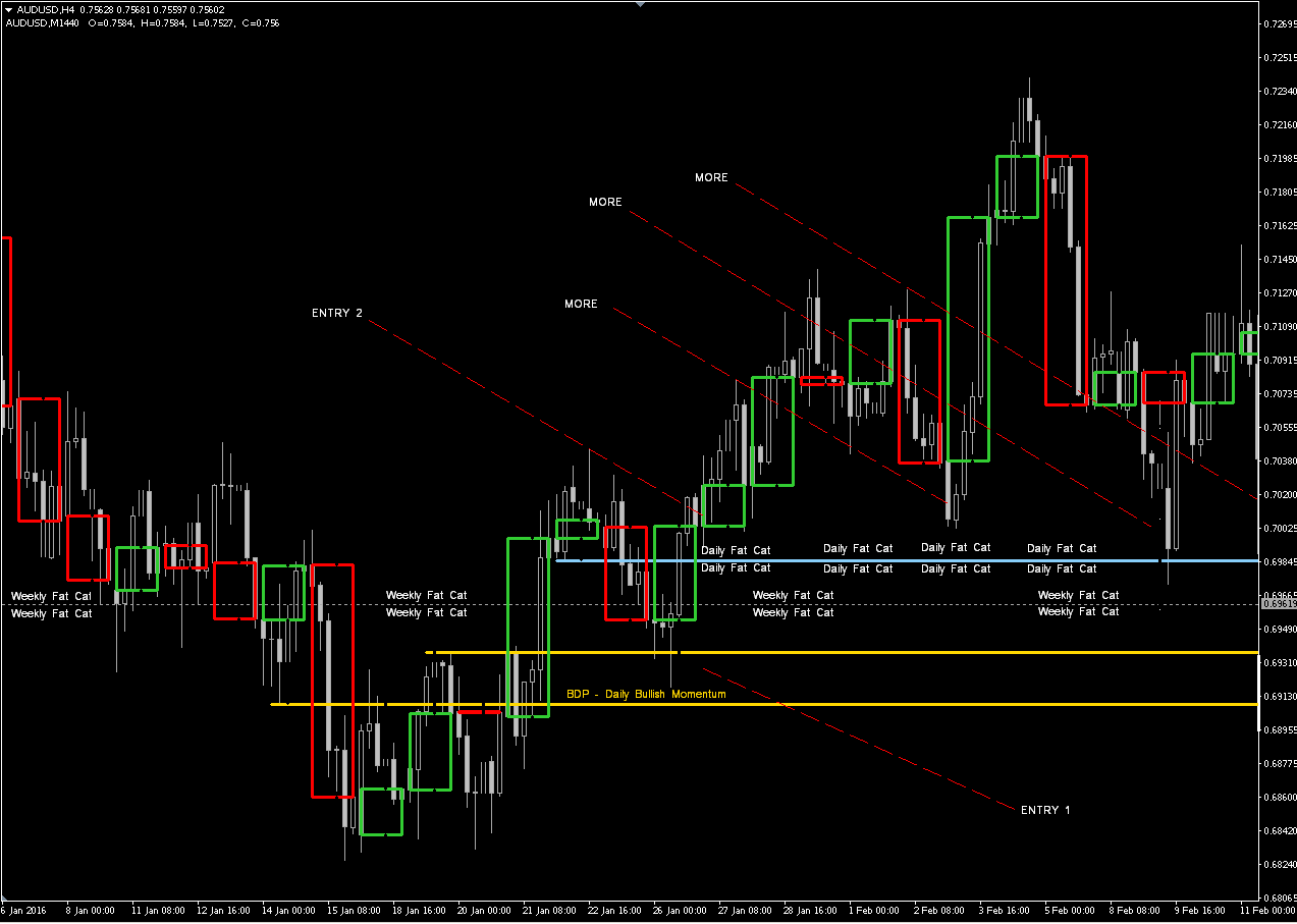 Fat Cat + Momentum.png