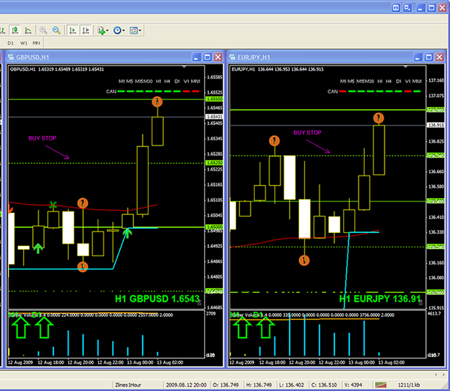 2009-08-09_23-02_MBT MetaTrader.png