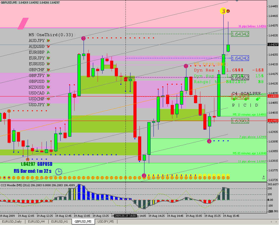 cci woodies indi setup .jpg