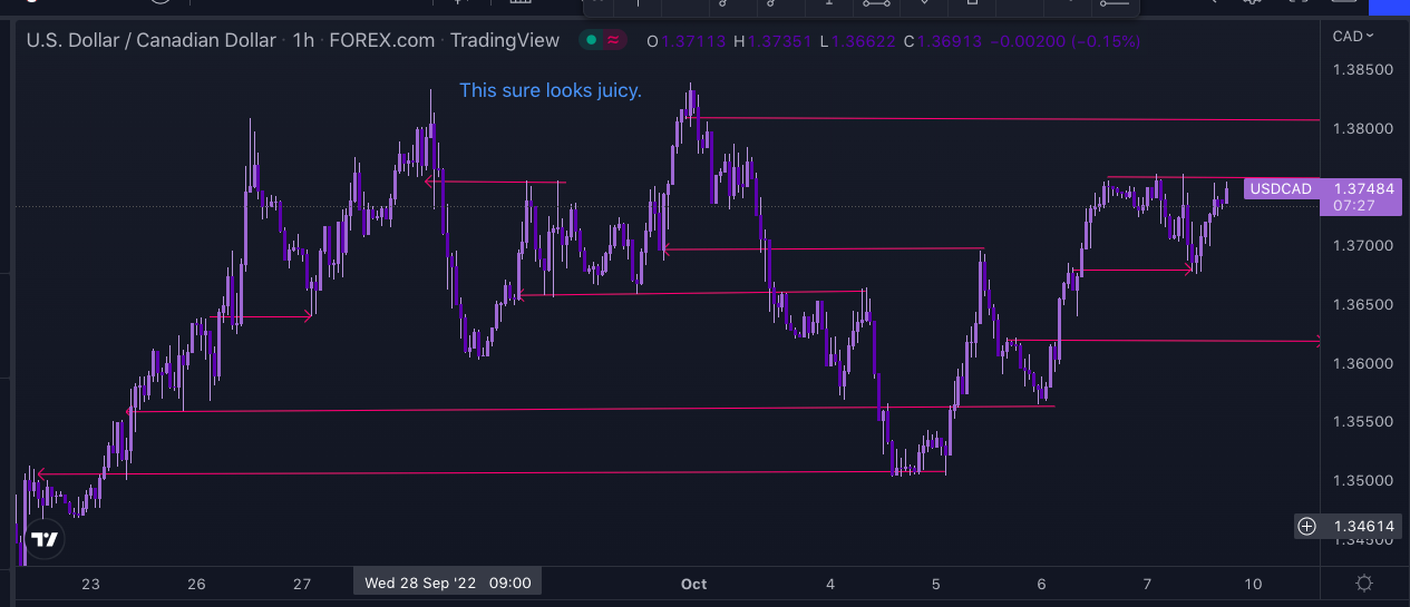 Screen Shot 2022-10-09 at 5.52.25 PM.png