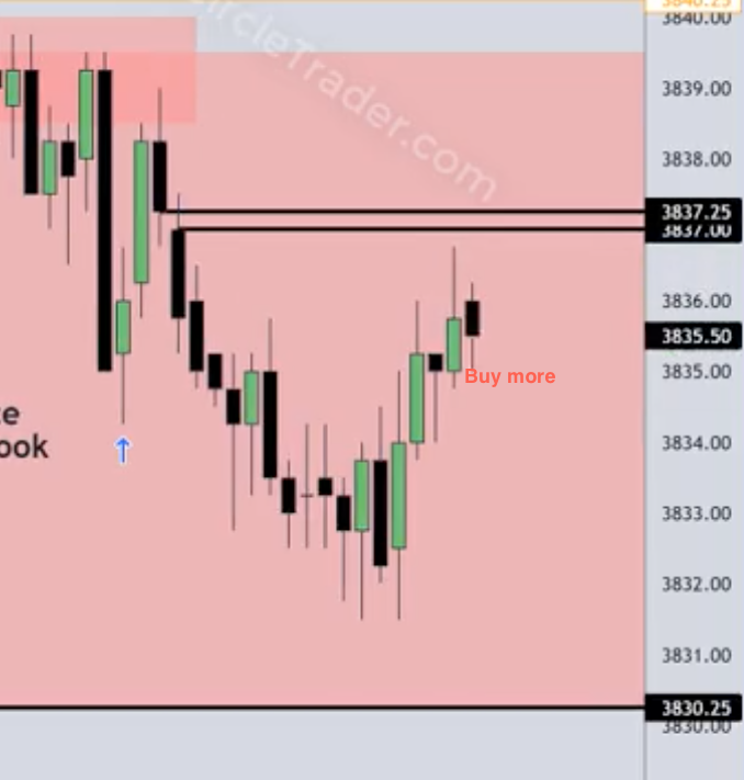 Screen Shot 2022-10-26 at 9.02.45 AM.png