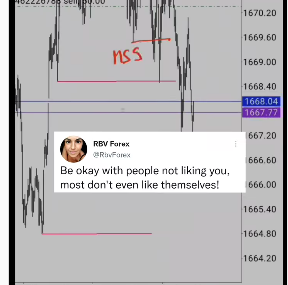 Screen Shot 2022-11-05 at 8.57.04 AM.png