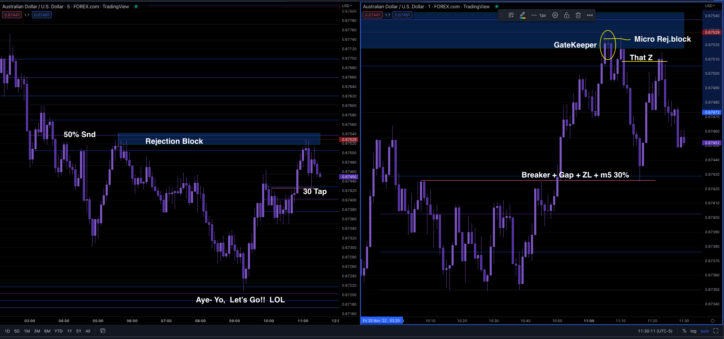 Screen Shot 2022-11-25 at 10.30.13 AM.png