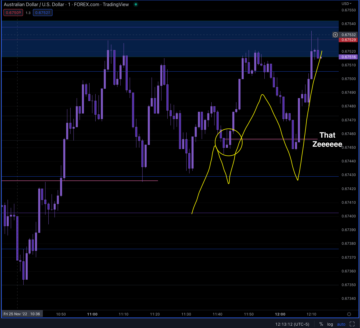 Screen Shot 2022-11-25 at 11.13.13 AM.png