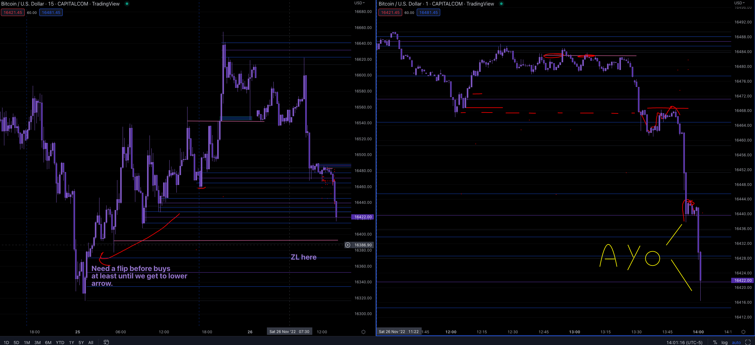 Screen Shot 2022-11-26 at 1.01.17 PM.png