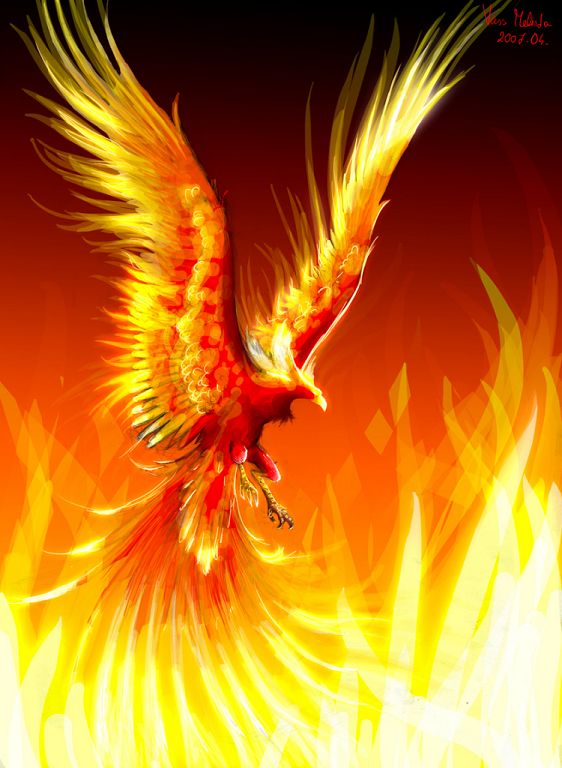 Phoenix_by_WhiteRaven90 - post.jpg