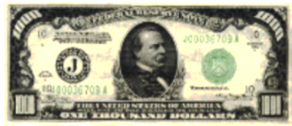 1000 dollar bill.PNG