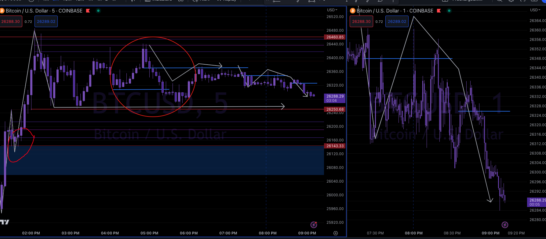 Screen Shot 2023-06-16 at 8.11.57 PM.png