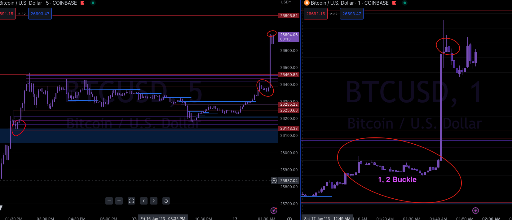 Screen Shot 2023-06-17 at 12.54.48 AM.png