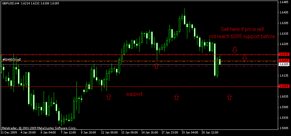 gu h1 21012010 (2).gif