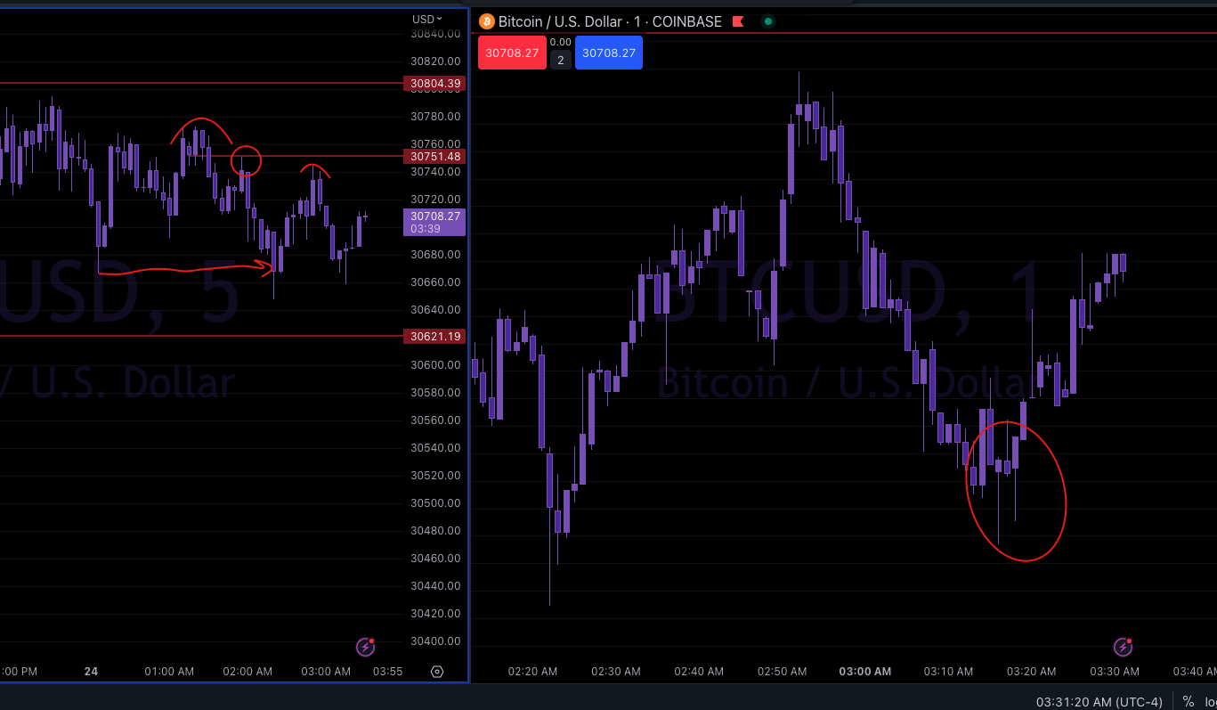 Screen Shot 2023-06-24 at 2.31.22 AM.png