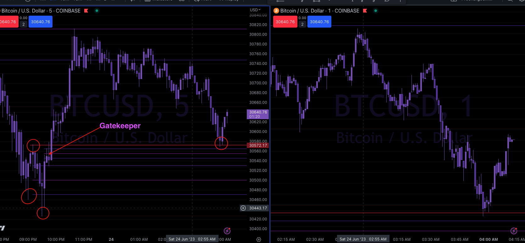 Screen Shot 2023-06-24 at 3.13.41 AM.png