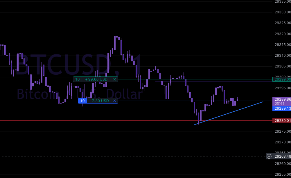 Screen Shot 2023-07-29 at 10.12.20 AM.png