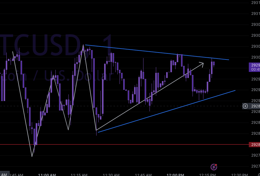 Screen Shot 2023-07-29 at 11.18.13 AM.png