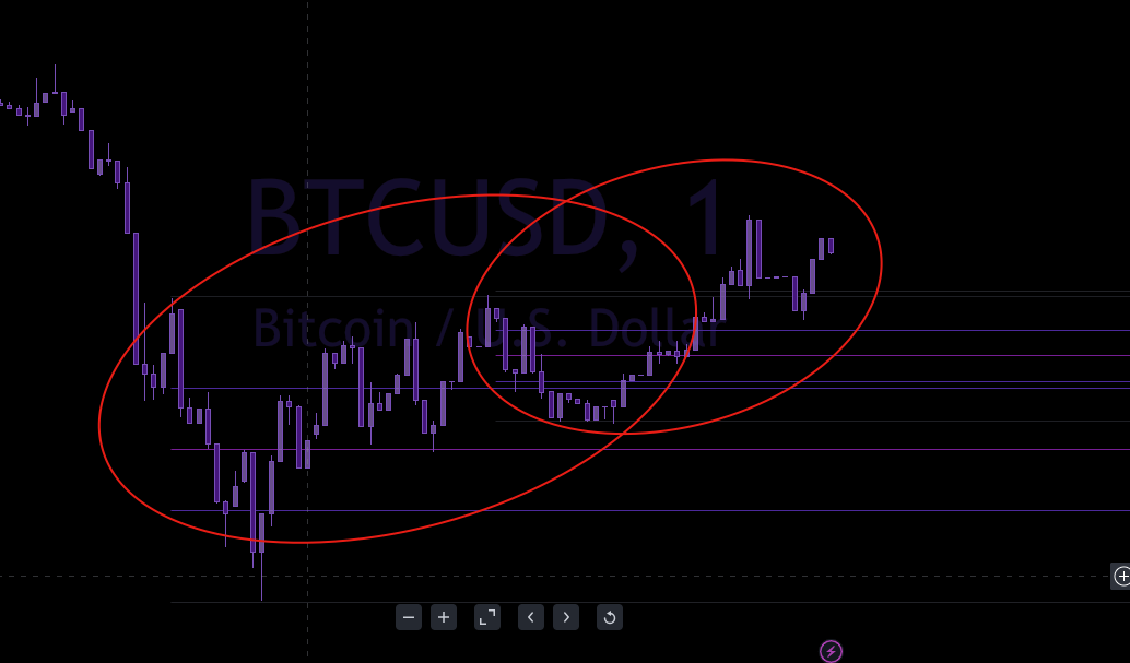 Screen Shot 2023-08-27 at 2.04.18 PM.png