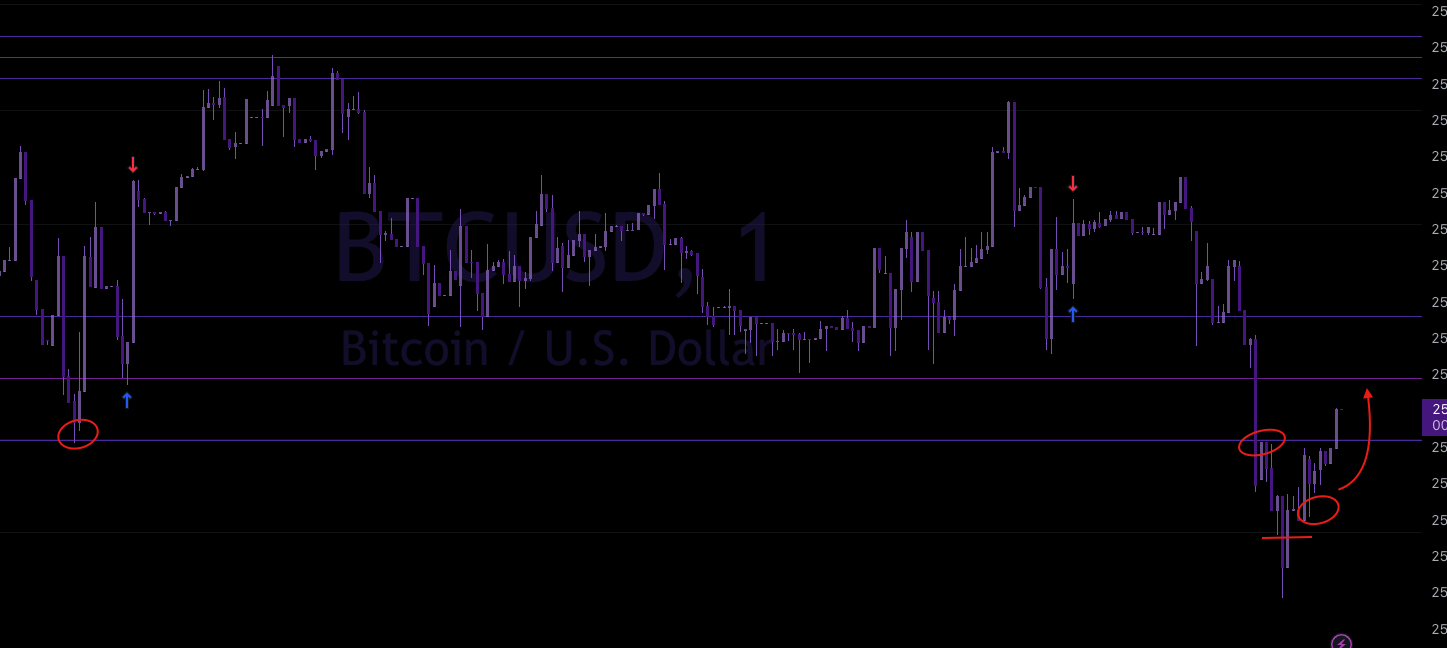 Screen Shot 2023-09-09 at 1.07.07 AM.png