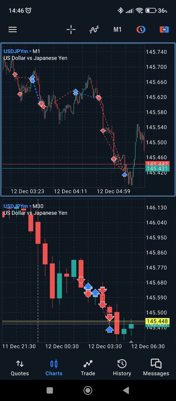 Screenshot_2023-12-12-14-46-56-831_net.metaquotes.metatrader5_copy_600x1367.jpg