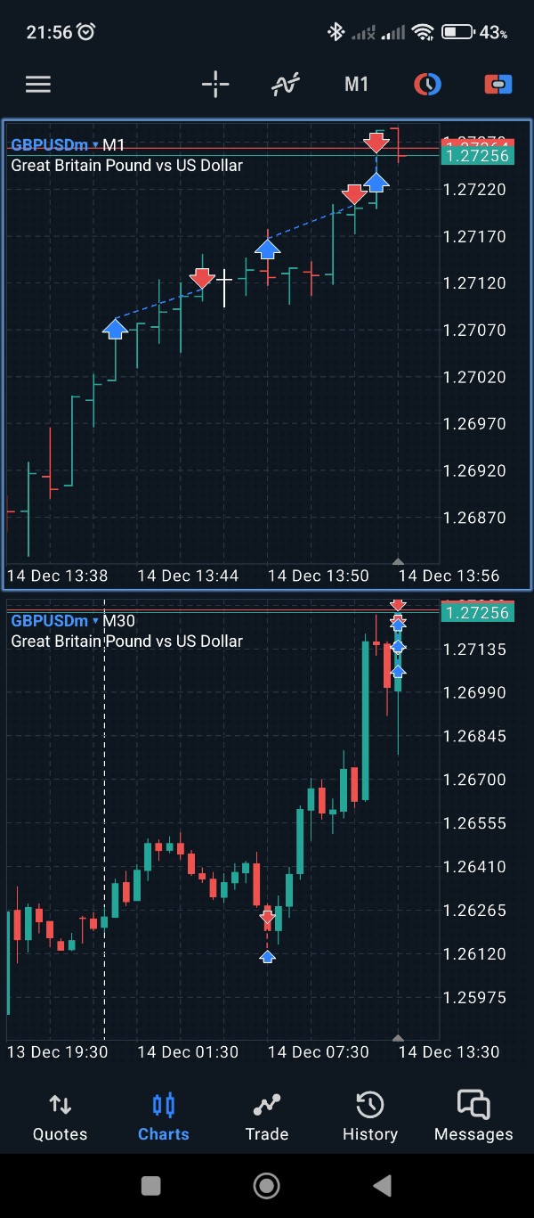 Screenshot_2023-12-14-21-56-21-131_net.metaquotes.metatrader5_copy_600x1367.jpg