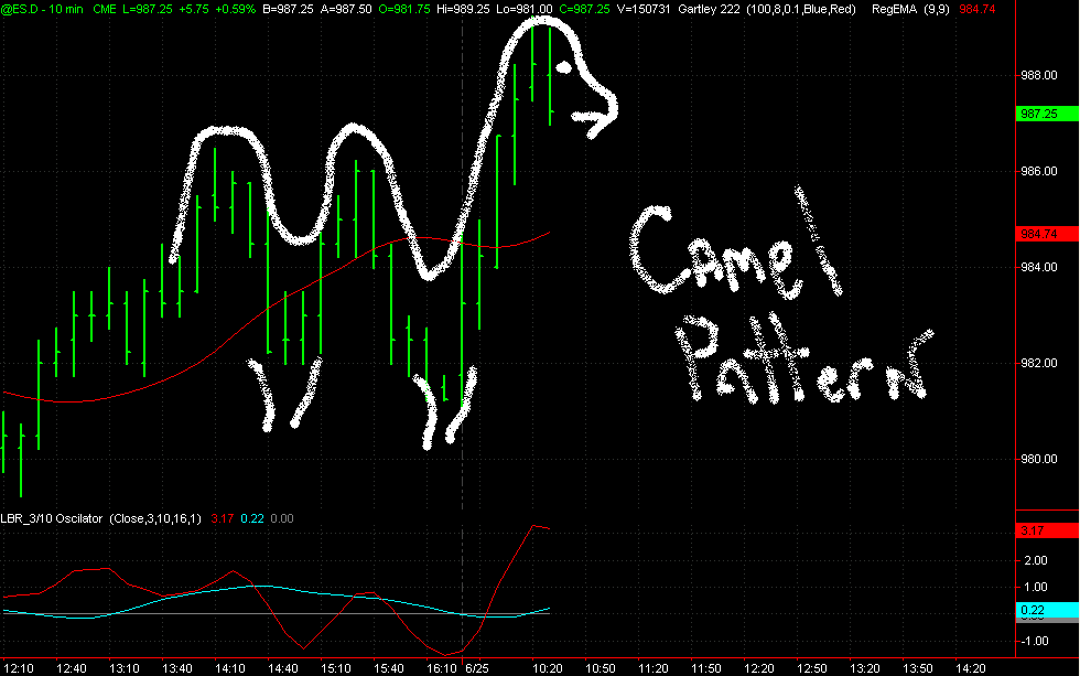 rod618_ES030625 Camel.png