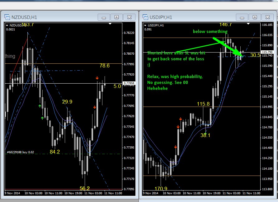 UJ late night scalp.jpg